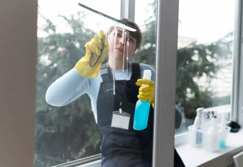 Nettoyage de vitres intérieures et extérieures à Moydans